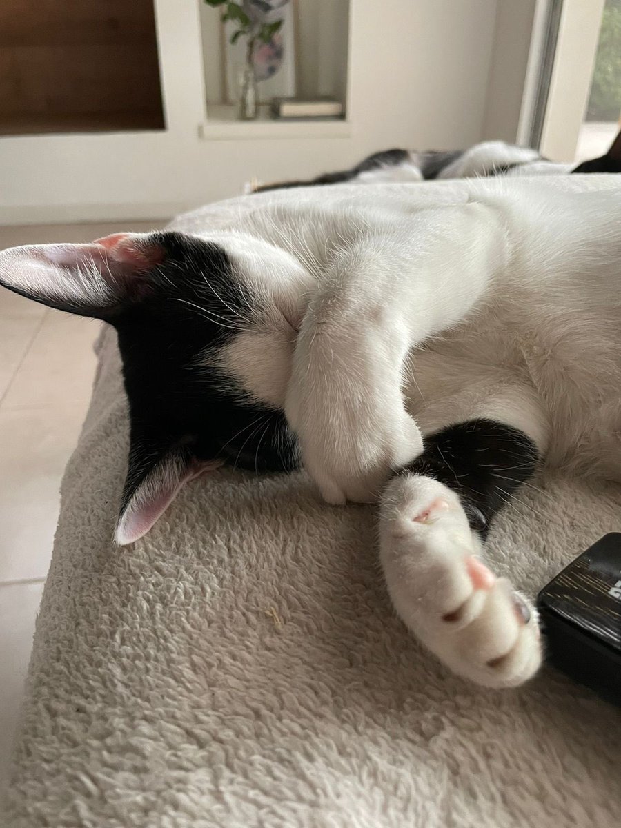 Giving away a month of osu supporter because i want to, RT, fav and comment your osu username to participate!!