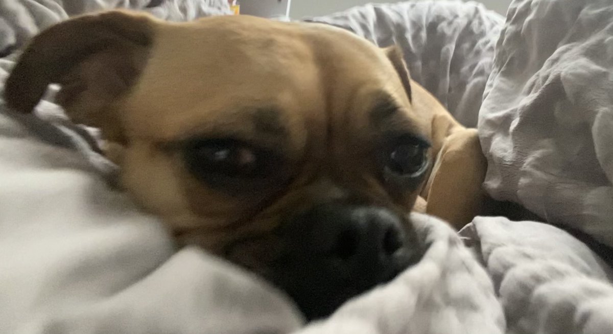 Barbara Zektick tweet media