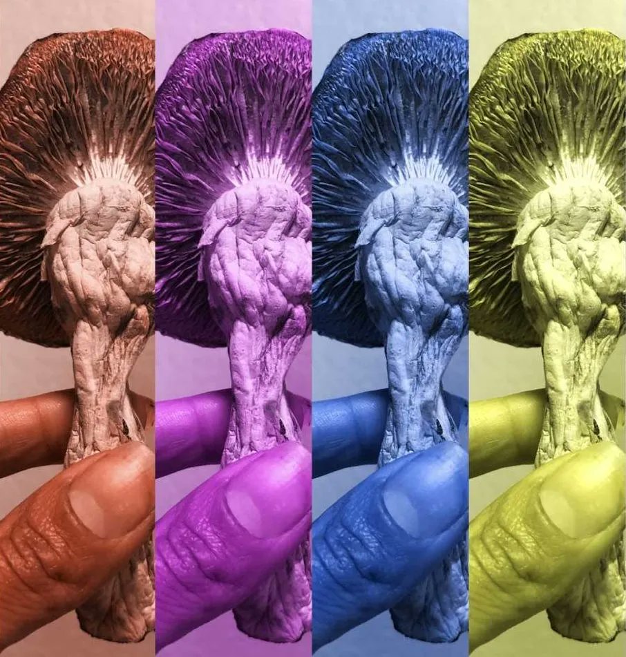 TestKitPlus's tweet image. Natural Healing: Personal Stories of Psychedelic Medicine.
Psychedelics are a subset of hallucinogenics whose primary effect is to trigger non-ordinary states of consciousness via serotonin 2A receptor agonism.
buff.ly/3MDqVOT