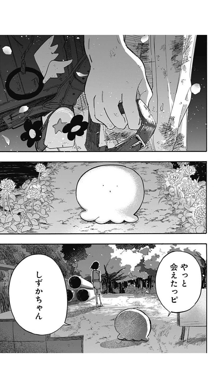 花「忘れないで・・・約束」シロツメクサ 花「忘れないで・・・約束」シロツメクサ