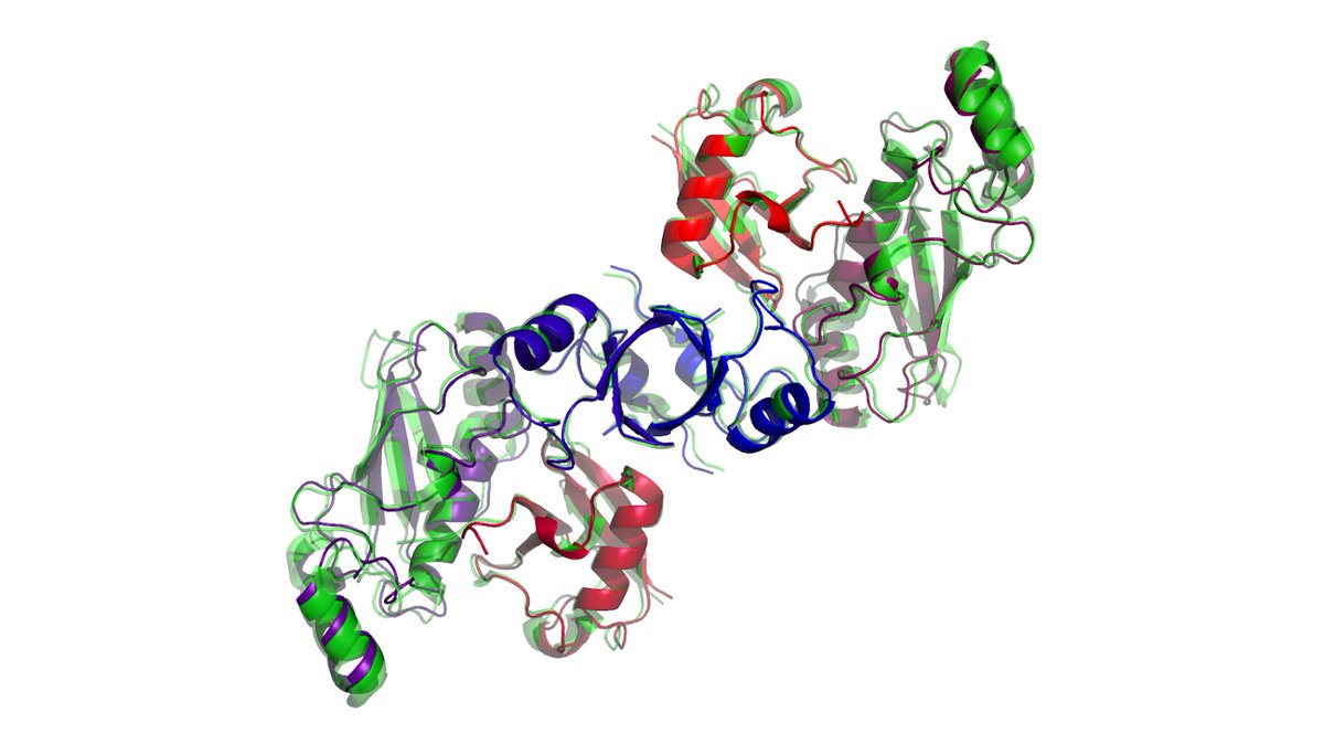 We have updated the AlphaFold-Multimer paper and code with a new set of protein complex models trained with an improved loss. These models reduce the number of steric clashes and improve accuracy.

Code: dpmd.ai/af-multimer-os
Paper: dpmd.ai/alphafold-mult…
