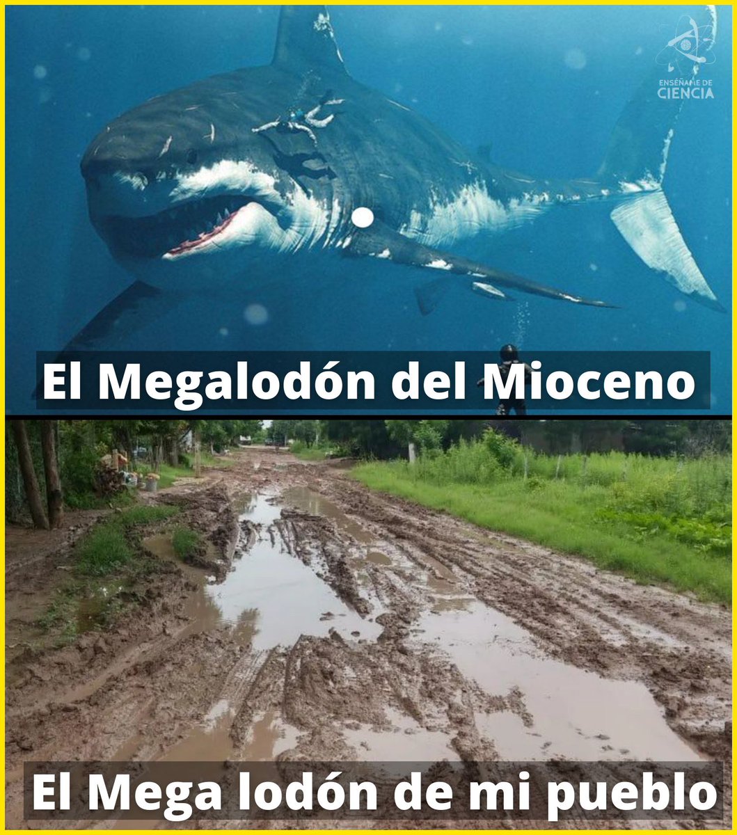 EnsedeCiencia's tweet photo. https://t.co/O9IWcEwNdZ
