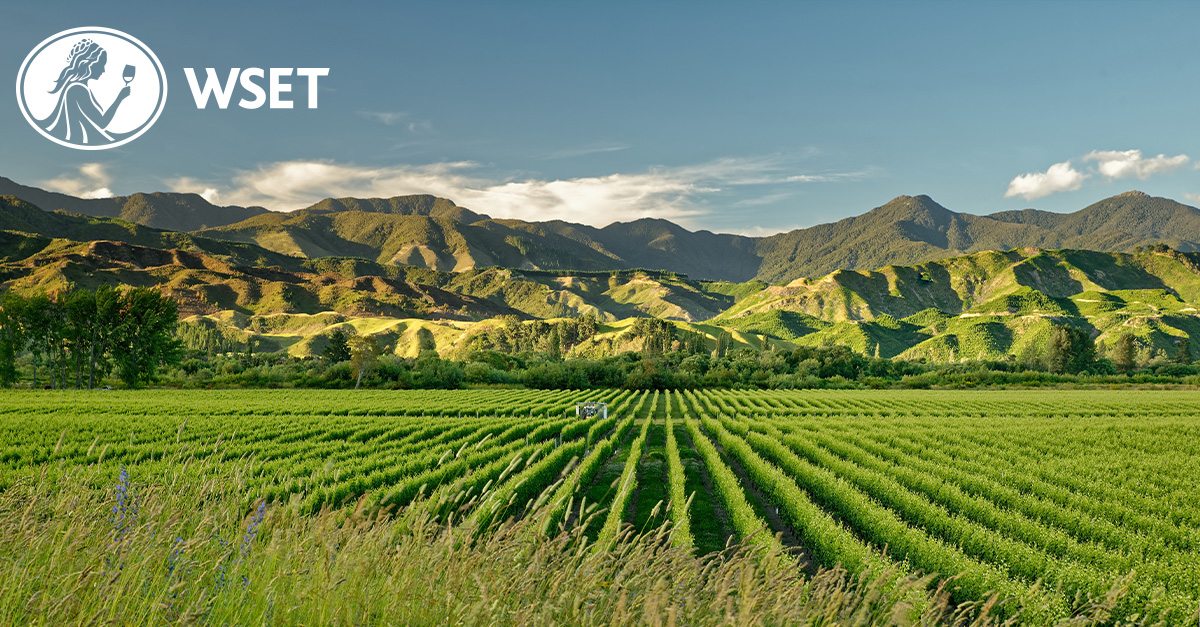 WSETglobal tweet media