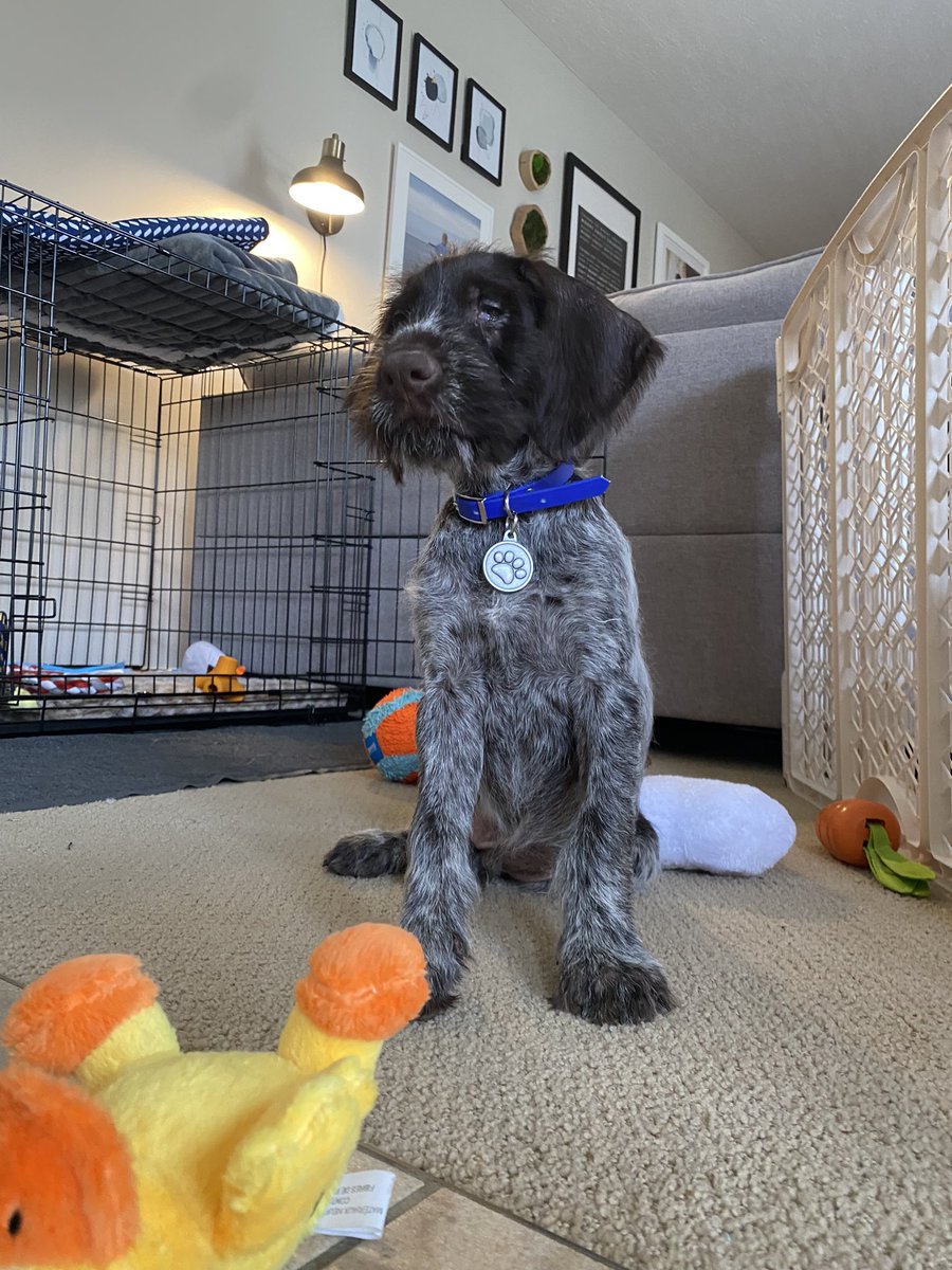 Val Geisler tweet media