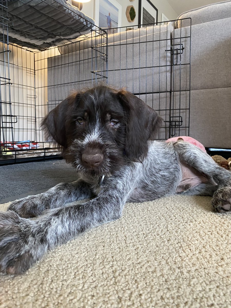 Val Geisler tweet media