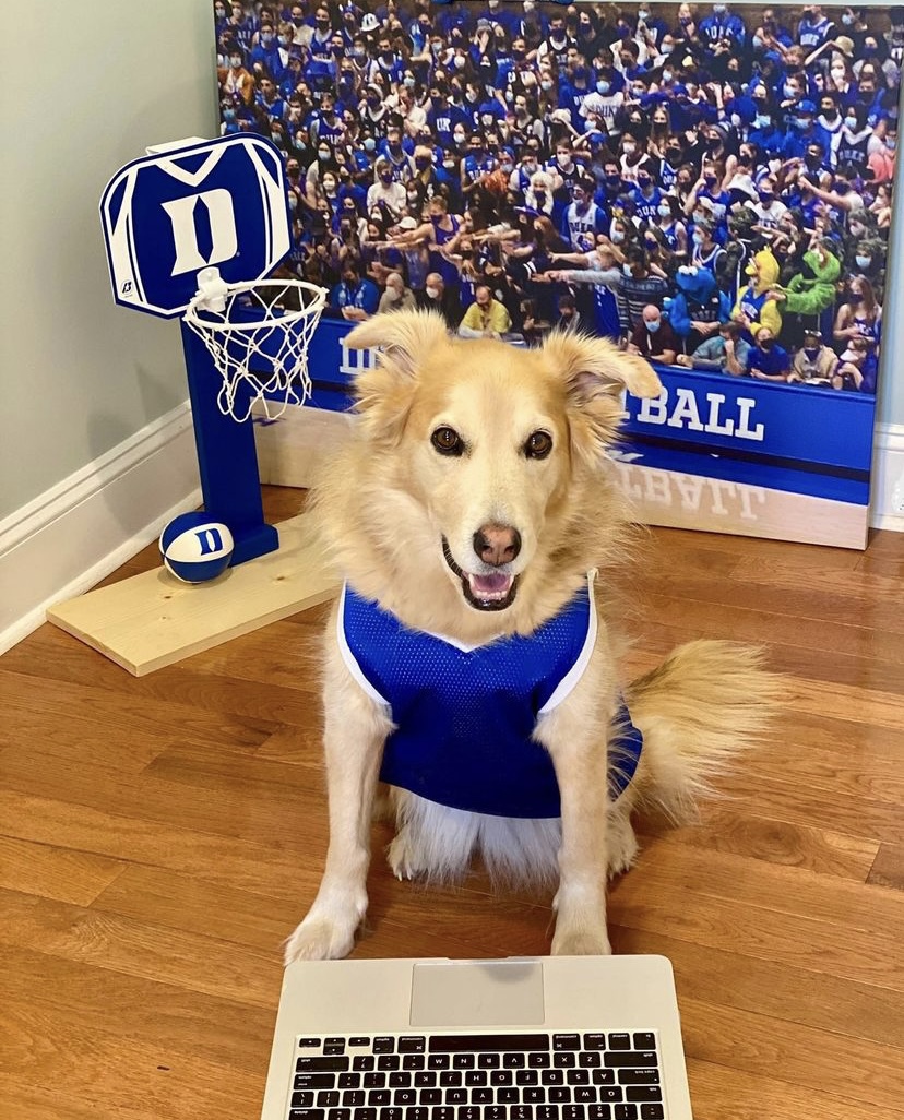 DukeU's tweet photo. When it's tournament time 🏀

📸: ginger_at_duke https://t.co/8BNPZFENwh