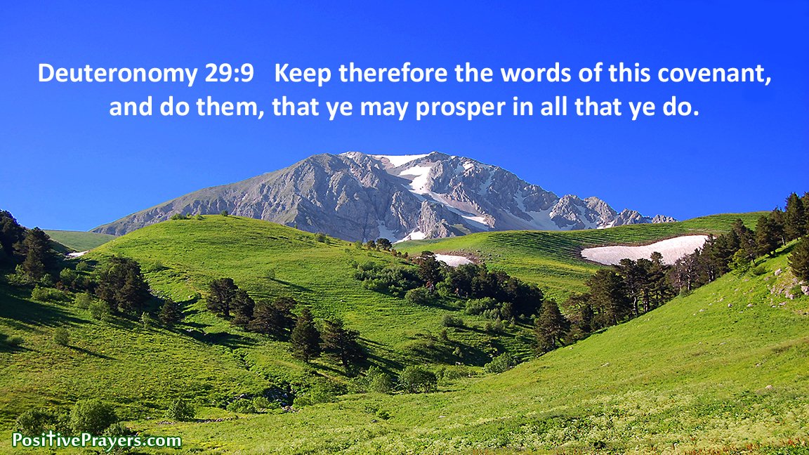AmazingAnimalsX's tweet photo. Deuteronomy 29:9 Keep therefore the words of this covenant, and do them, that ye may prosper in all that ye do.
#Prosperity #Bible #Blessings #KJV https://t.co/zaH7YitT83 https://t.co/DBOyTaiT09