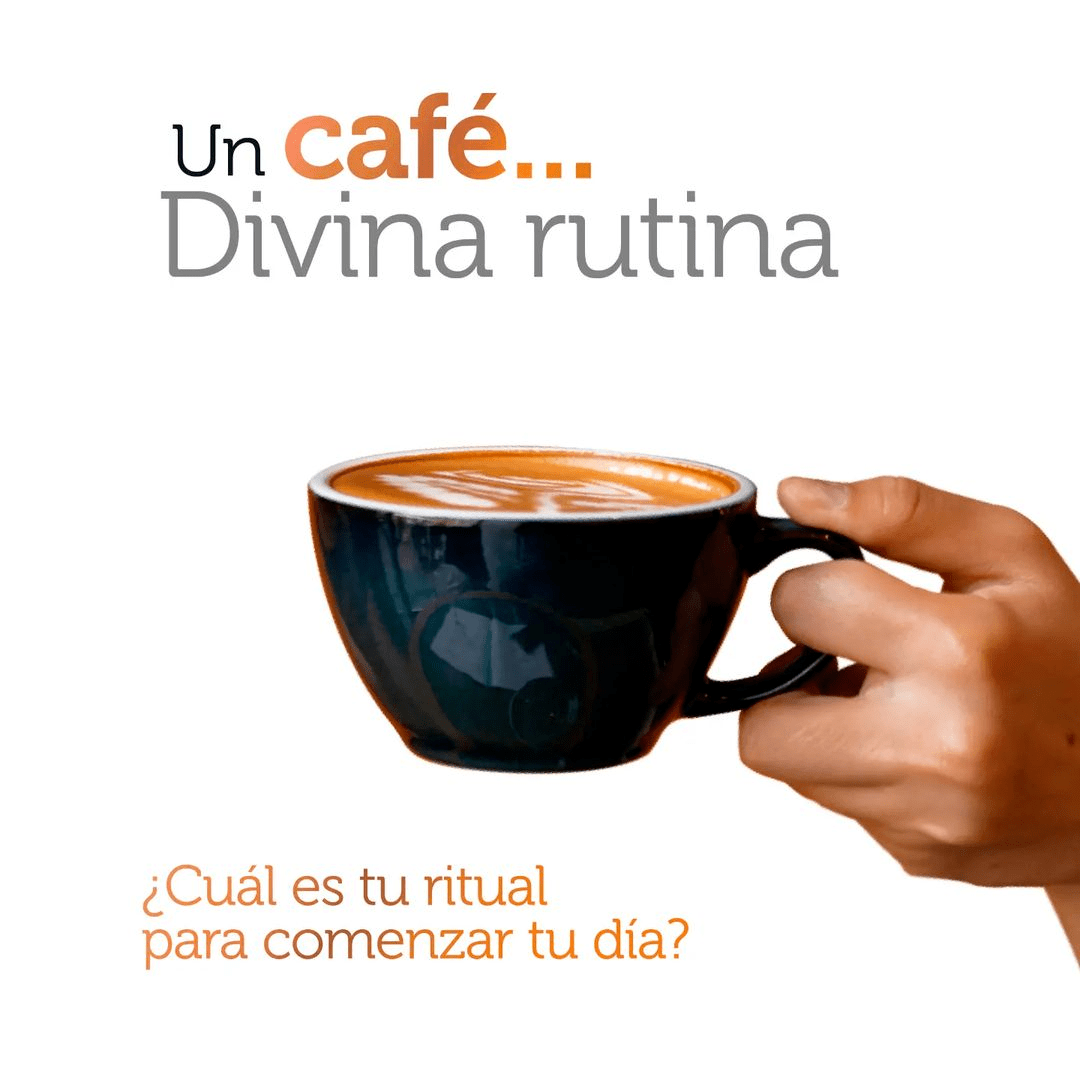 flordearauca's tweet photo. Un café siempre será el acompañante perfecto para empezar el día.☕☀️
Y si se trata de Flor de Arauca, degustamos su #GranSabor, que se parece a
Venezuela.🧡🇻🇪
#FlordeArauca
#GranSabor
#AlimentosBotalón https://t.co/sa1xnainBK