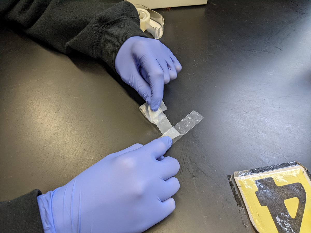 GabrieleGrosso tweet media