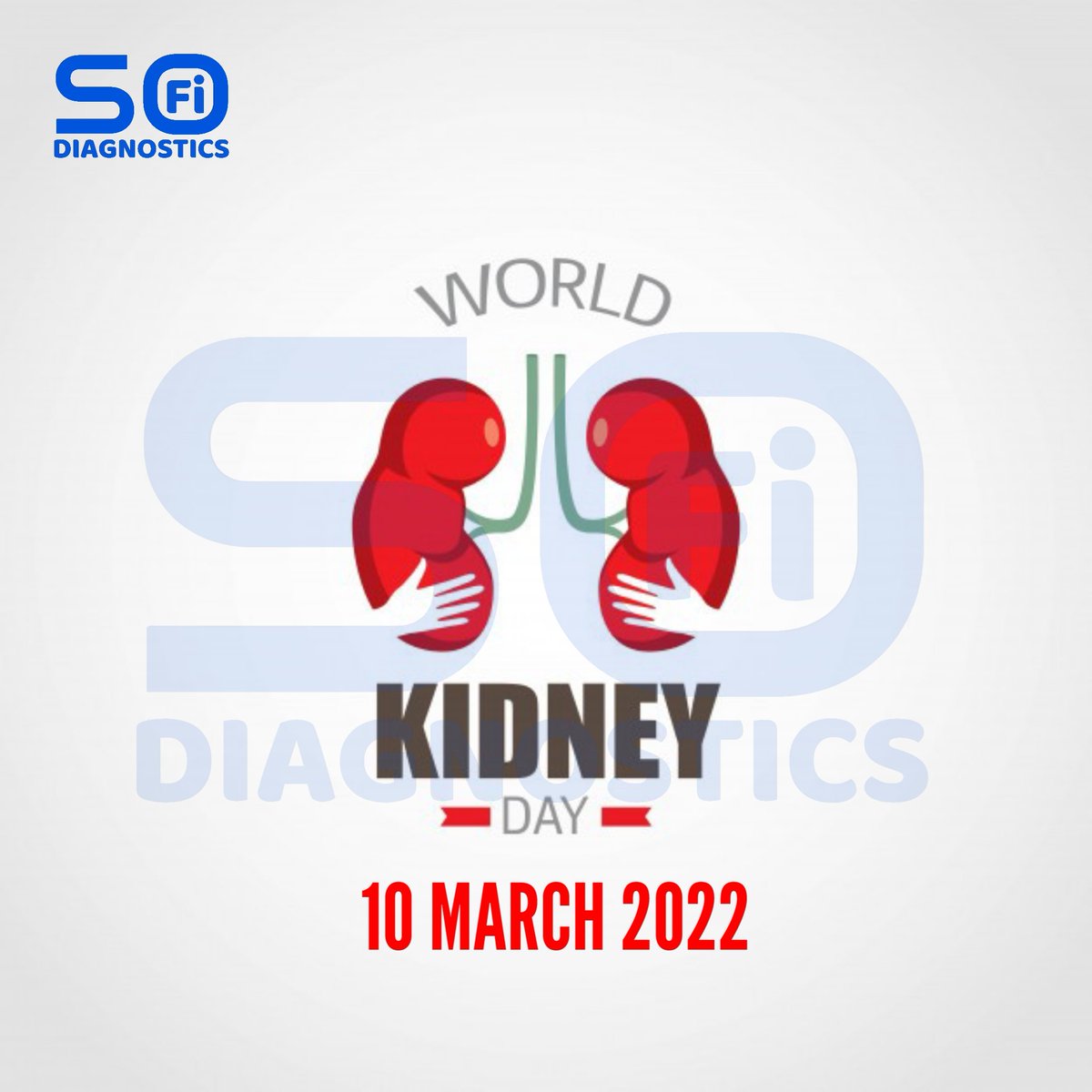 SofiDiagnostics's tweet photo. โKidneys are of the most important organs of our bodies and they need to be attended regularly. Happy World Kidney Day to everyone.โ
#sofidiagnostics #SofiSipl #SofiHealth #Soficare #SofisGroup #SofiHealth #frogyshoes https://t.co/ZHQBVNO3Cz