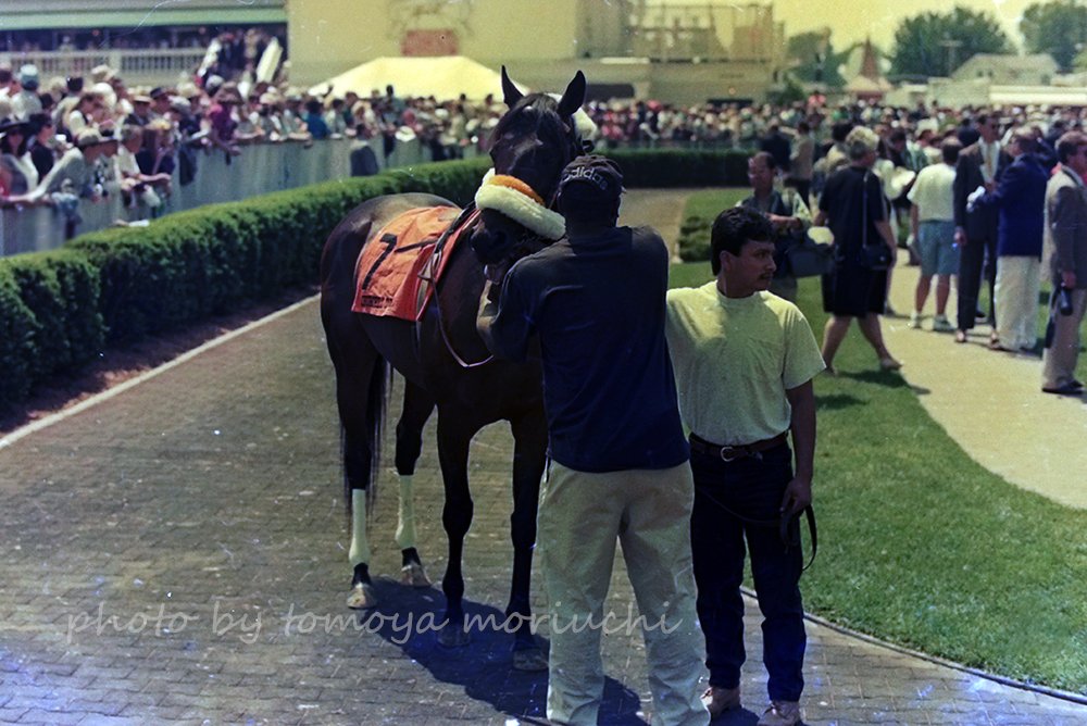 j_taro's tweet photo. Go For Gin, Churchill Downs Handicap, May 06 1995.
この頃のネガフィルムは変色がまずいことになってきましたね
#GoForGin https://t.co/2NgLuhh6qe