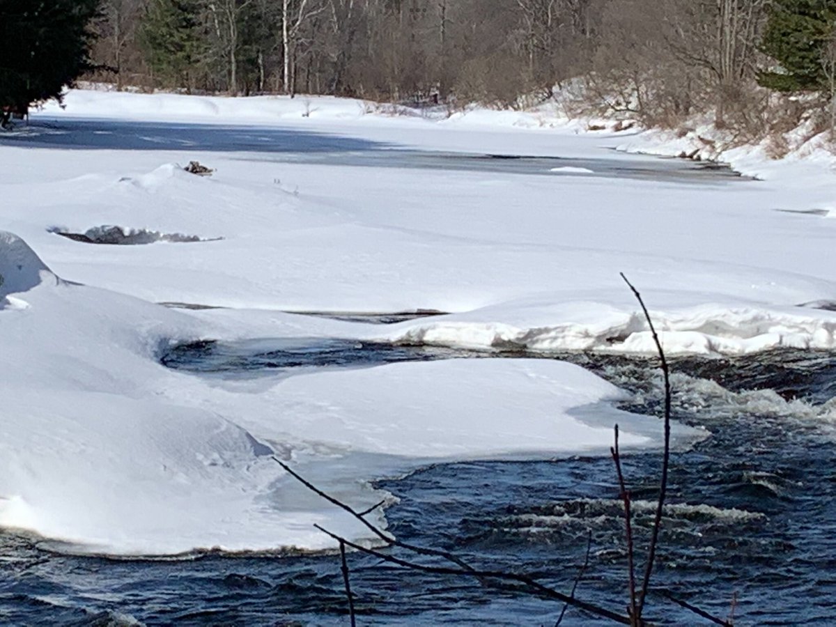 lamoureuxnicole's tweet photo. Se promener aux #ChutesWilson
Que cela fait du bien d’oublier la guerre meurtrière de #Poutine
Prendre le temps : Écouter la #����🎼🎼 au #🌞🌞🌞
#10mars2022 https://t.co/mnUAW3dwa7