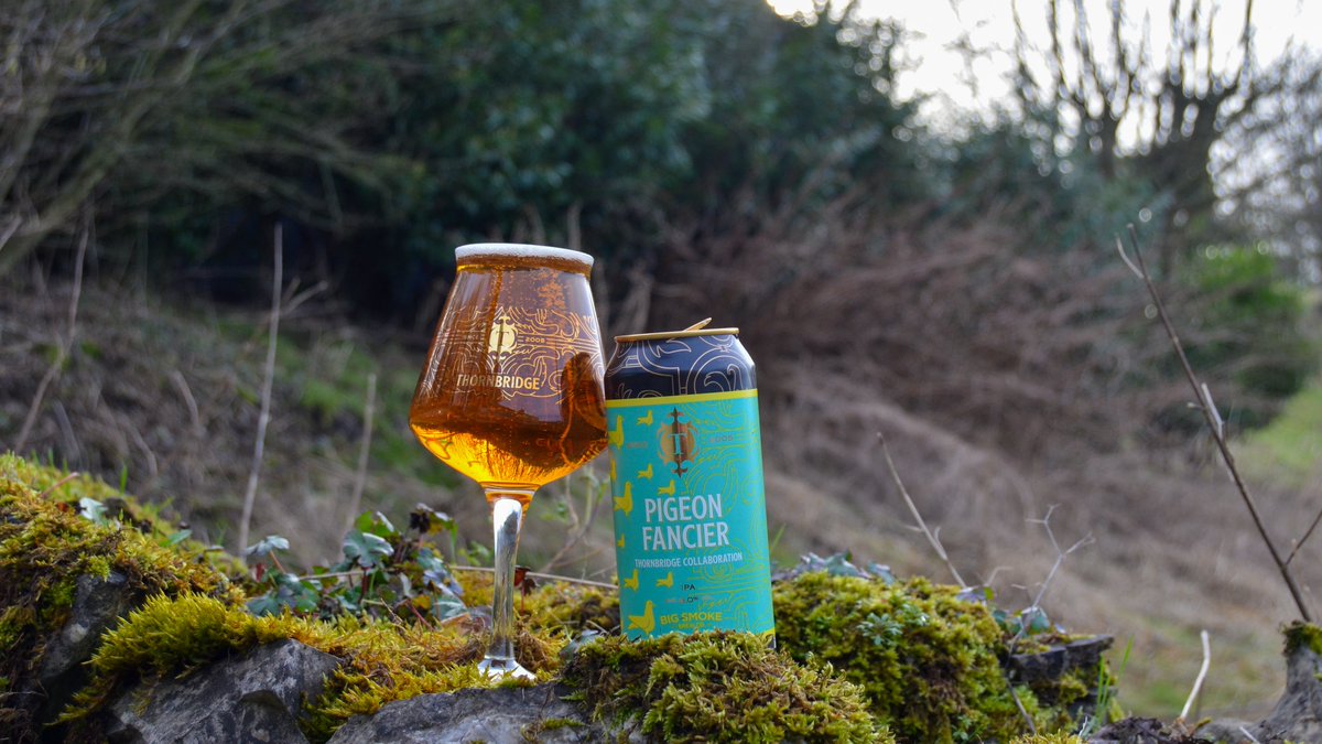 thornbridge's tweet photo. #FreshDropFriday is here, and that's why it's time to let you get your hands on Pigeon Fancier, the 6% IPA we brewed with the brilliant @bigsmokebrew.
Pigeon Fancier is pouring at @TheGreystones and @thornbridgetap, and is available in can right now! 👇
https://t.co/btlRs15FK0 https://t.co/TZevoAyBRH