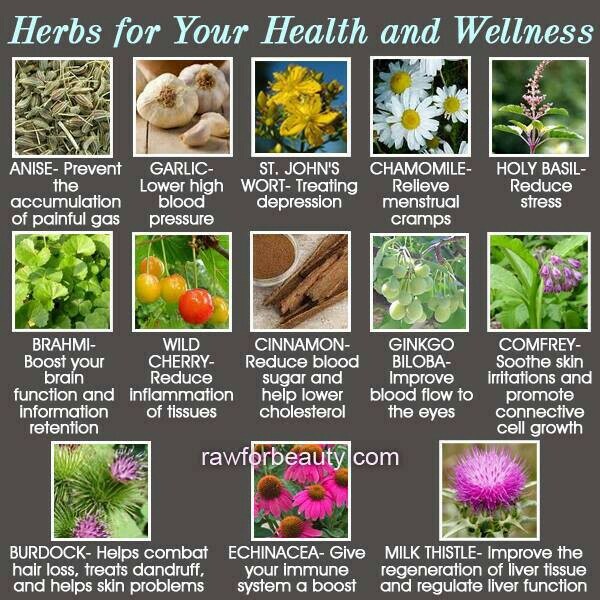 Best Kept Secret Cure for #Cancer and Any #Disease: seattleorganicrestaurants.com/vegan-whole-fo… #herbs #herbal #alternativemedicine Every disease an #herb to cure it