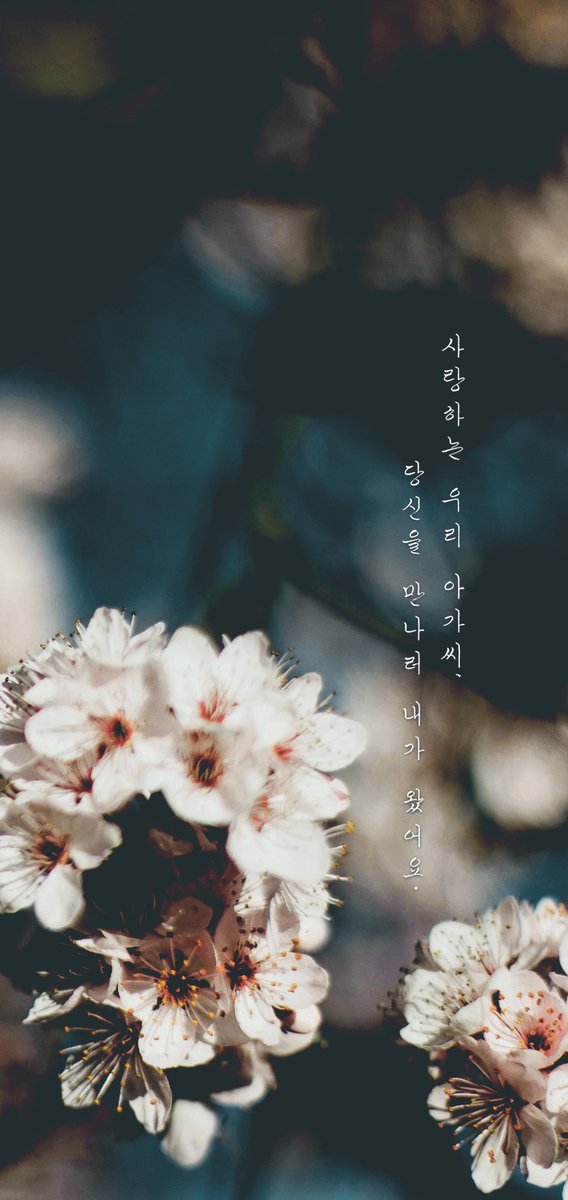 iam4elso's tweet photo. [RT/트친한정X] 상심이 많으시지만 다들 어깨 펴고 기운 내시라고 RT 이벤트 진행합니다. 알티 해주신 분들 중 두 분에게는 아래와 같은 퀄리티로 배경화면 사이즈 캘리 이미지를, 두 분에게는 원하시는 카페 브랜드 커피/케익 기프티콘을 보내드립니다. 당발은 3/12(토) 저녁입니다. 다들 힘내요😀 https://t.co/n0I9b4HaiU