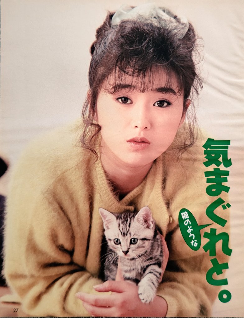 酒井法子 最新情報まとめ みんなの評判 評価が見れる ナウティスモーション 9ページ目