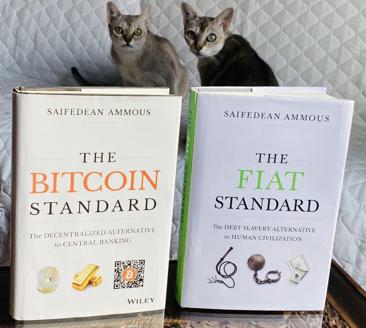 Yorick de Mombynes tweet media