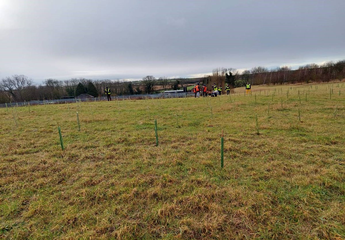 emidexecteam's tweet photo. 4,250 trees planted at Rampton Hospital with @NottsHealthcare, @Enviro_nottshc, @QGCanopy and @TCVtweets, to improve the environment, encourage wildlife and assist with weather management. @MHPPS.  #greenspacesprescribing #communitypayback https://t.co/8ObnKYIOpL