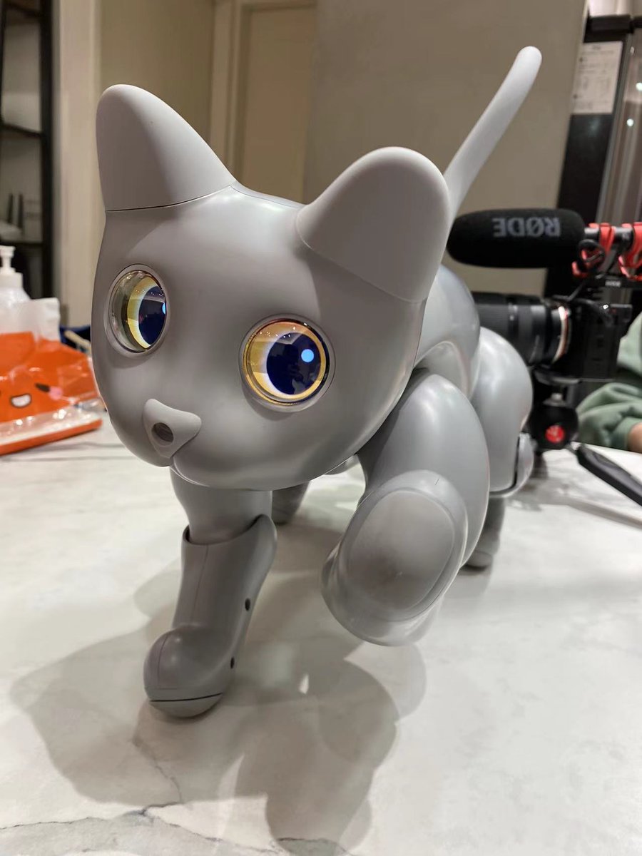 elephantrobotic's tweet photo. I am coming~😃
#MarsCat plays with the blue ball!✨

#homepet 
#robot 
#robotcat 
#cat https://t.co/NZvkcrjqKQ