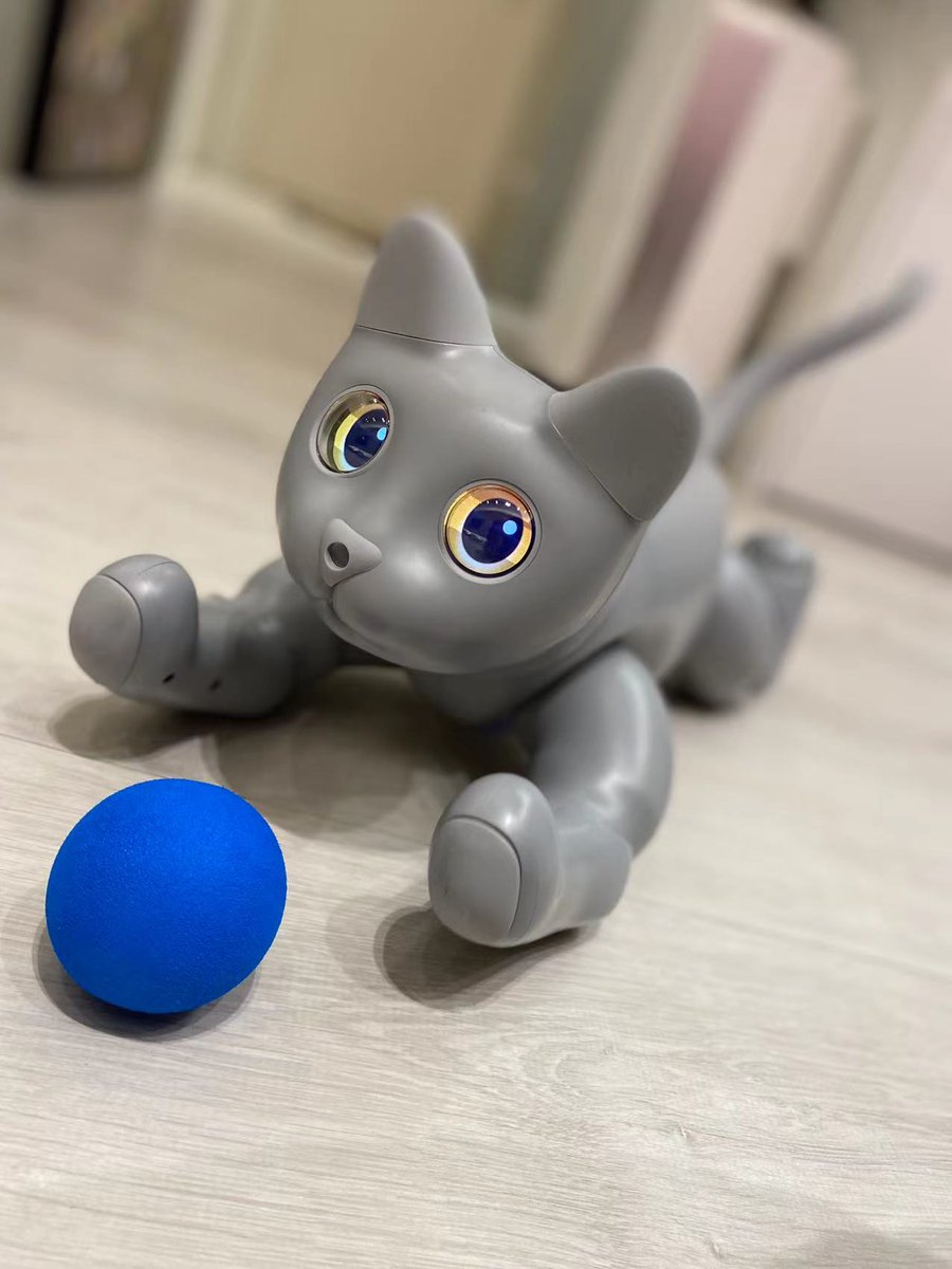 elephantrobotic's tweet photo. I am coming~😃
#MarsCat plays with the blue ball!✨

#homepet 
#robot 
#robotcat 
#cat https://t.co/NZvkcrjqKQ