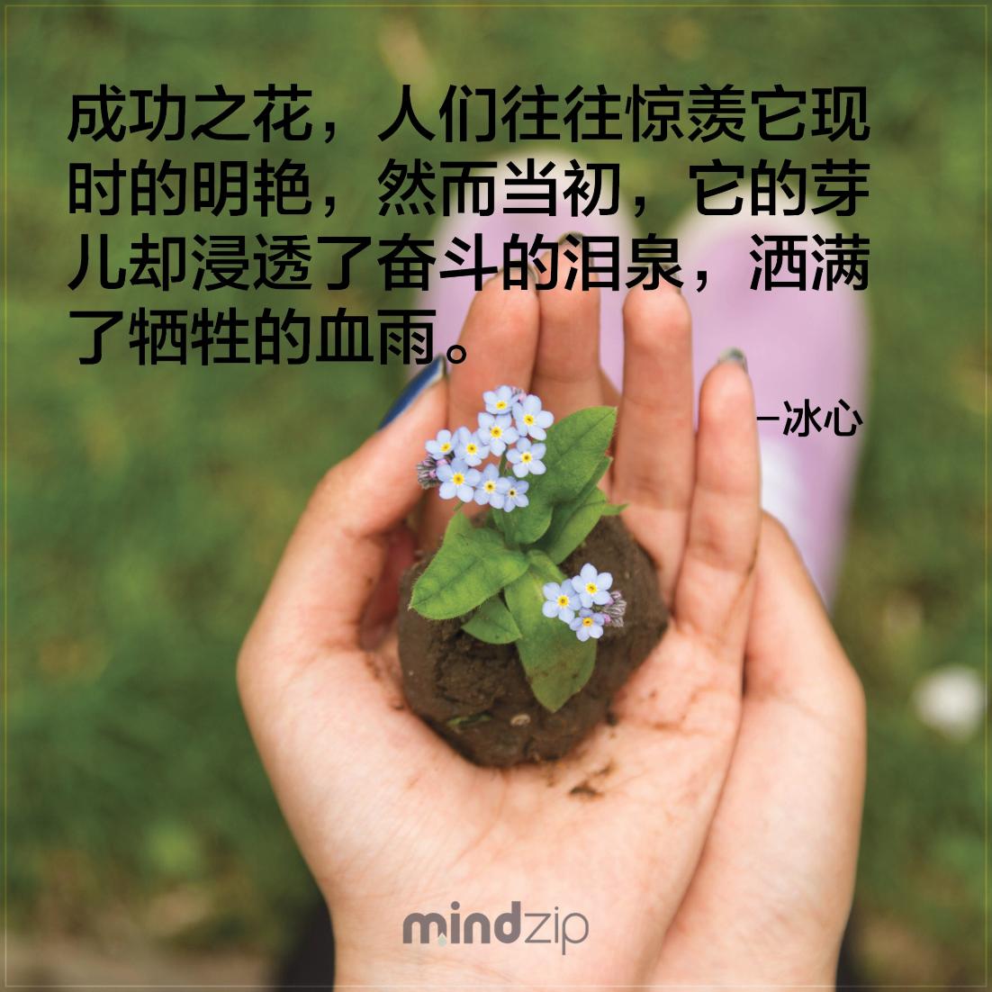 MindZipCHS's tweet photo. ��美丽的花也是从幼苗经历风吹雨打一点一点长大茁壮。别只羡慕他人的成功忘了他们背后的努力! 标记那些在人生中努力奋斗的朋友! https://t.co/yIQnqI09aZ #冰心 #语录 #语录分享 #成功 #激励人心 #生活 #人生 #正面能量 #每日一句 #CitaPix #MindZip https://t.co/FYTUz1uAk2