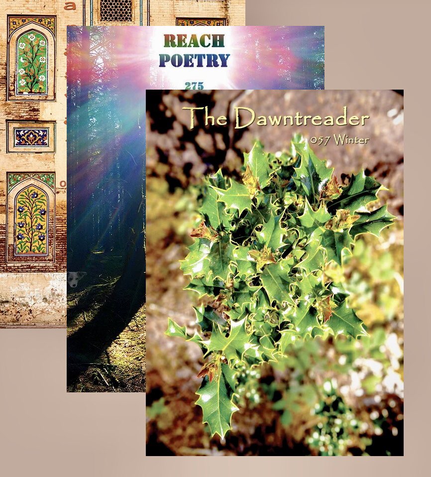 RoyallMargaret's tweet photo. Three of my favourite literary magazines are those produced by @IndigoDreamsPub, so I’m delighted to have had my poem ‘Persephone Returns’ selected for the upcoming issue of #TheDawntreader. Huge thanks to editor #DawnBauling.
#poetrycommunity #newpoems https://t.co/XAGRdvfePg