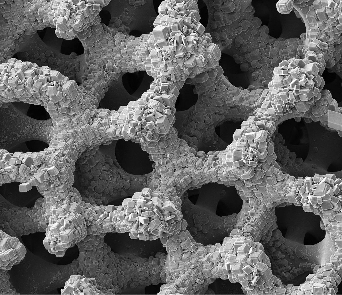 maximaxoo's tweet photo. #Science #Art: this #ScanningElectronMicrograph shows an ultra-close-up view of parts of a #starfish skeleton known as #ossicles — their highly ordered lattice structure makes them #LightButStrong and #DamageResistant
https://t.co/LP1cgMcJRZ via @Nature https://t.co/LdI1DSlLIb
