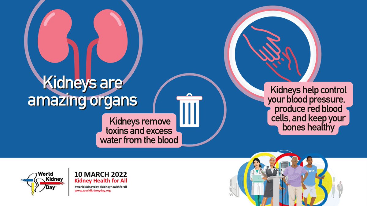 World Kidney Day tweet media