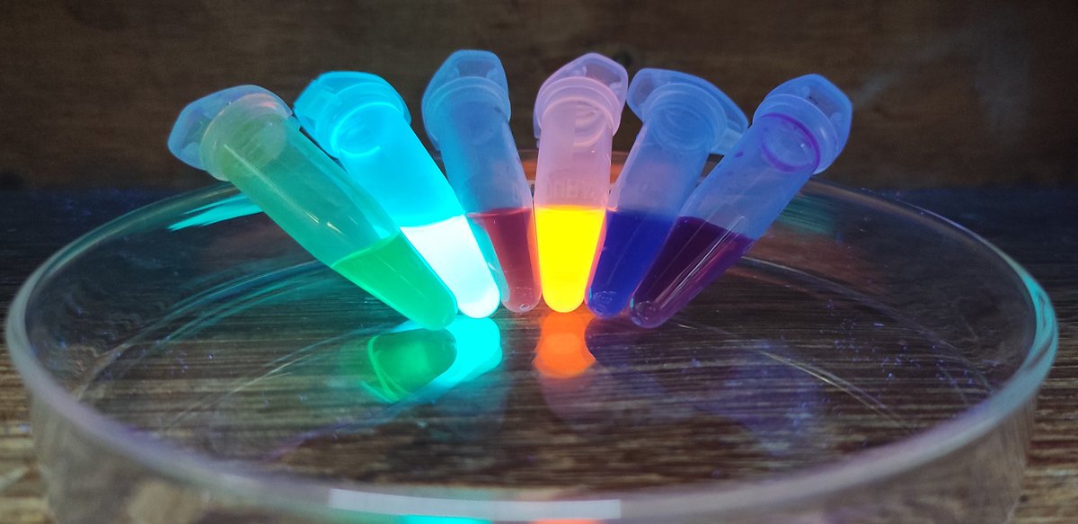 Colors of Chemist's 👨‍🔬👩‍🔬🌈