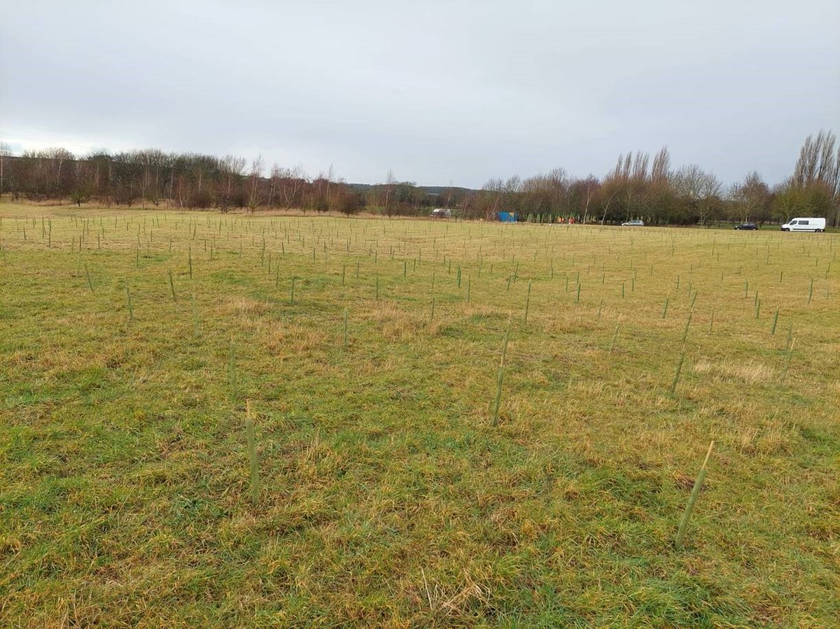 emidexecteam's tweet photo. 4,250 trees planted at Rampton Hospital with @NottsHealthcare, @Enviro_nottshc, @QGCanopy and @TCVtweets, to improve the environment, encourage wildlife and assist with weather management. @MHPPS.  #greenspacesprescribing #communitypayback https://t.co/8ObnKYIOpL