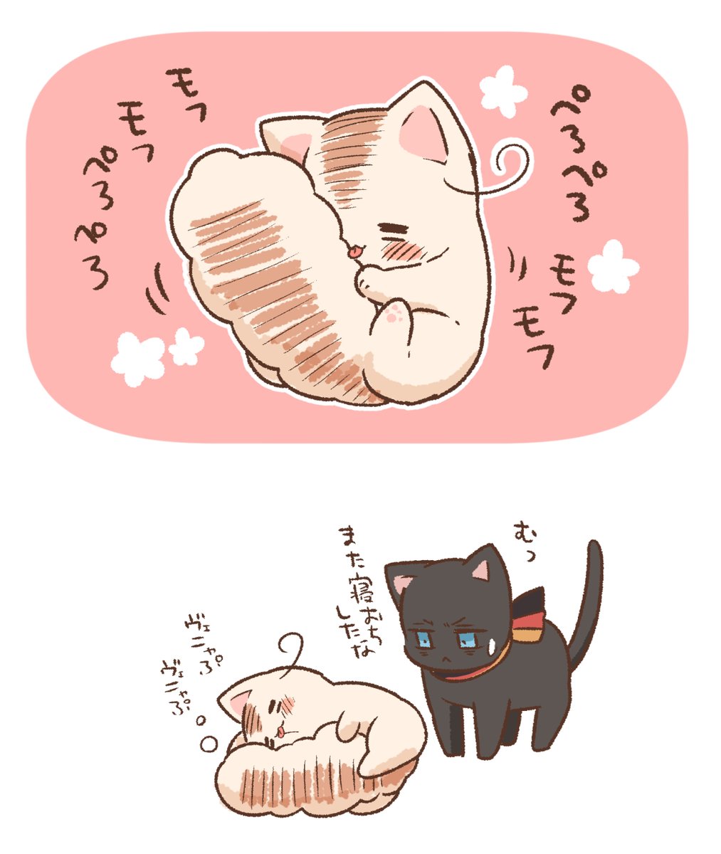 ちっちゃい舌+でっかいしっぽ=途中で寝落ちしちゃういたねこちゃん ヴェニャぷ💤 