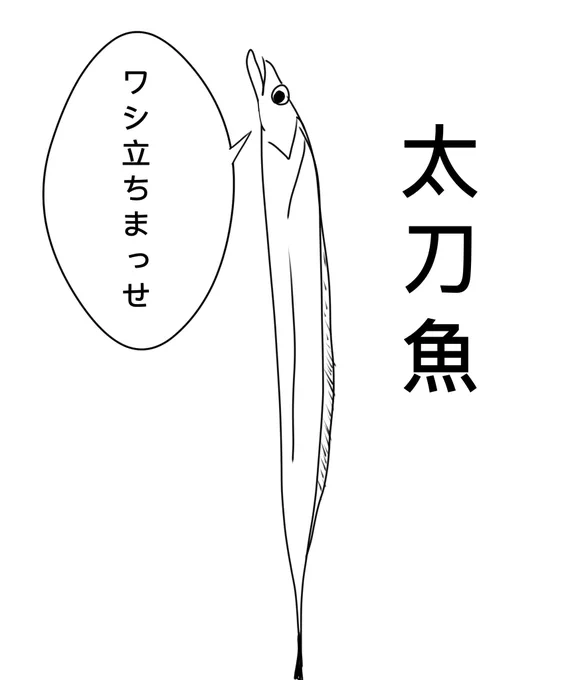 太刀魚っているやん?
あの子は刀みたいに光るから「太刀」魚なん?
立って泳ぐ?から「立ち」魚なん?
まぁどっちでもいいや🤣 