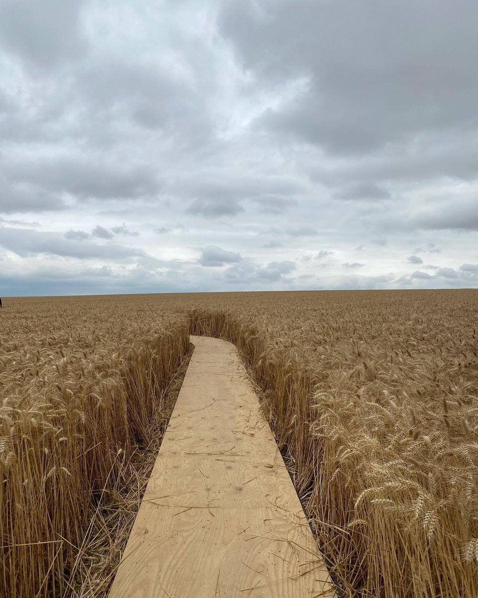 viewsfrance's tweet photo. Le cadre paradisiaque des défilés Jacquemus ☀️ https://t.co/9m9pmy8XPW