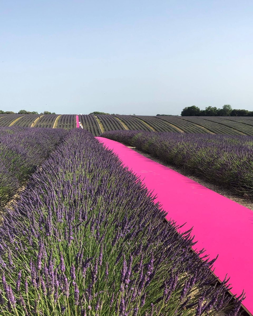 viewsfrance's tweet photo. Le cadre paradisiaque des défilés Jacquemus ☀️ https://t.co/9m9pmy8XPW