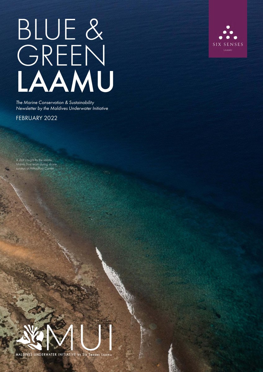 Maldives Underwater Initiative tweet media