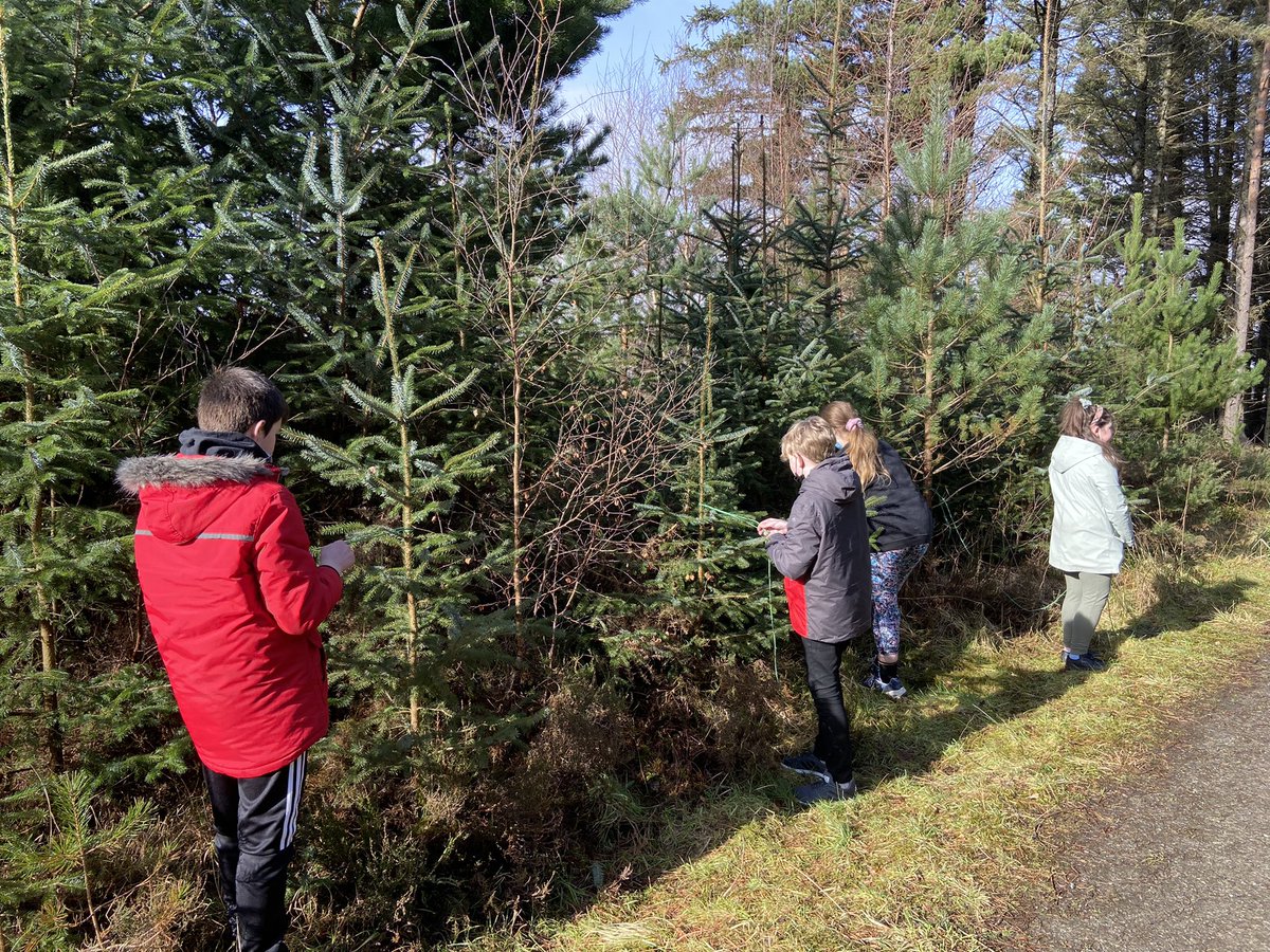 MrsLJex's tweet photo. Wild Things are at KGS delivering a bush craft course at Dunnyduff Woods today. We are learning different knots in preparation for building a hammock. https://t.co/AjHL7ARBlx