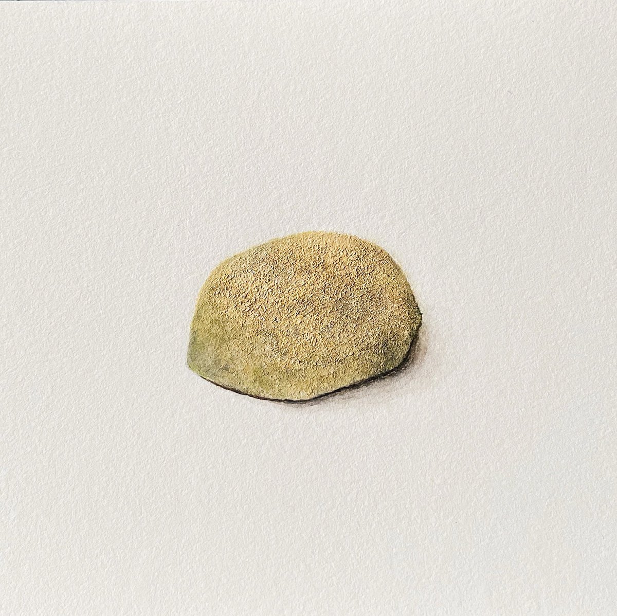 doreminko's tweet photo. 最近は色々と描かせていただいてまして、こちらは月毎に挿絵を担当しているものです。
見つけていただけたら嬉しいです◎ https://t.co/uBIATekONw