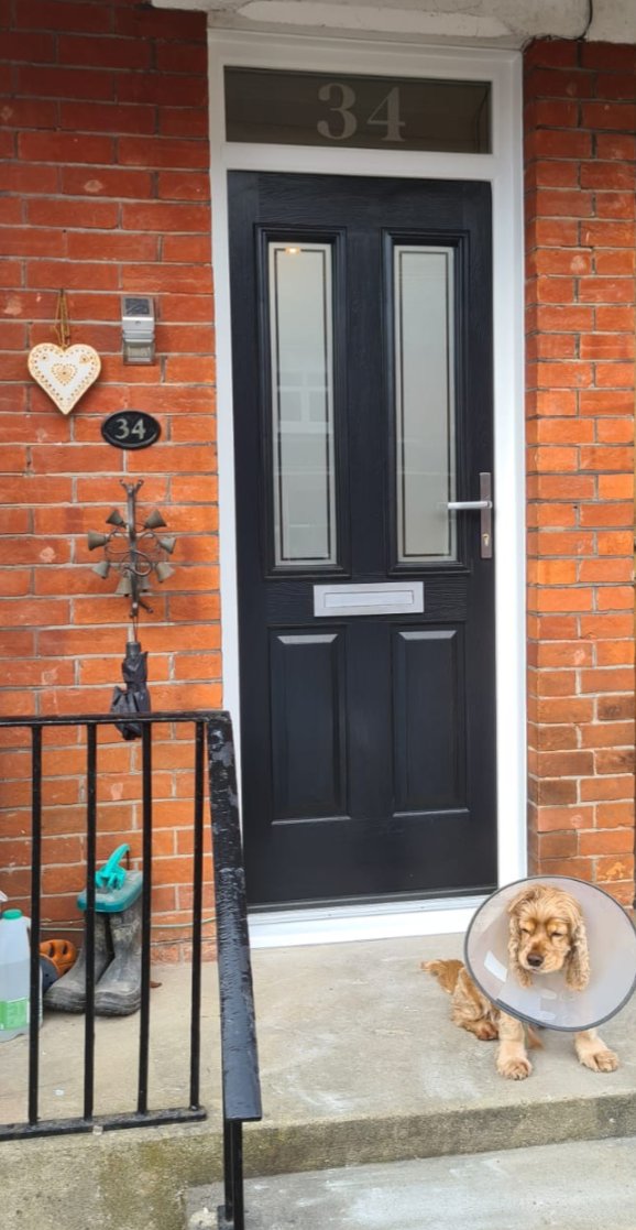 SdbWindows's tweet photo. Check out this adorable pup in a cone! 😍🐶

Now that we've got your attention take a look at the beautiful new @SolidorLtd entrance for this customer's home with numbered toplight. You could have similar installed by calling us on 01323 656804 for a quote

Now back to the dog ❤️ https://t.co/RgBu2wyJrF
