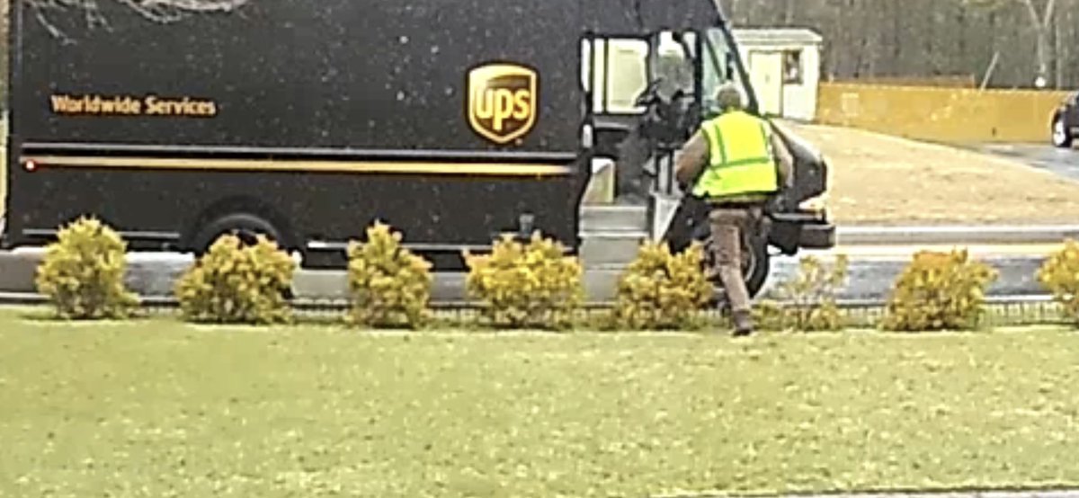 pvdhatcher's tweet photo. @UPS how many time do you have to tell your drivers not to cut through hedges. Put the hedge up to stop him wearing a path on my front lawn, only to have him walk through it.  Second plant he is killing.  Now I have ordered a fence.  Your delivery service costs me way too much $$ https://t.co/7zQBJPwKZO