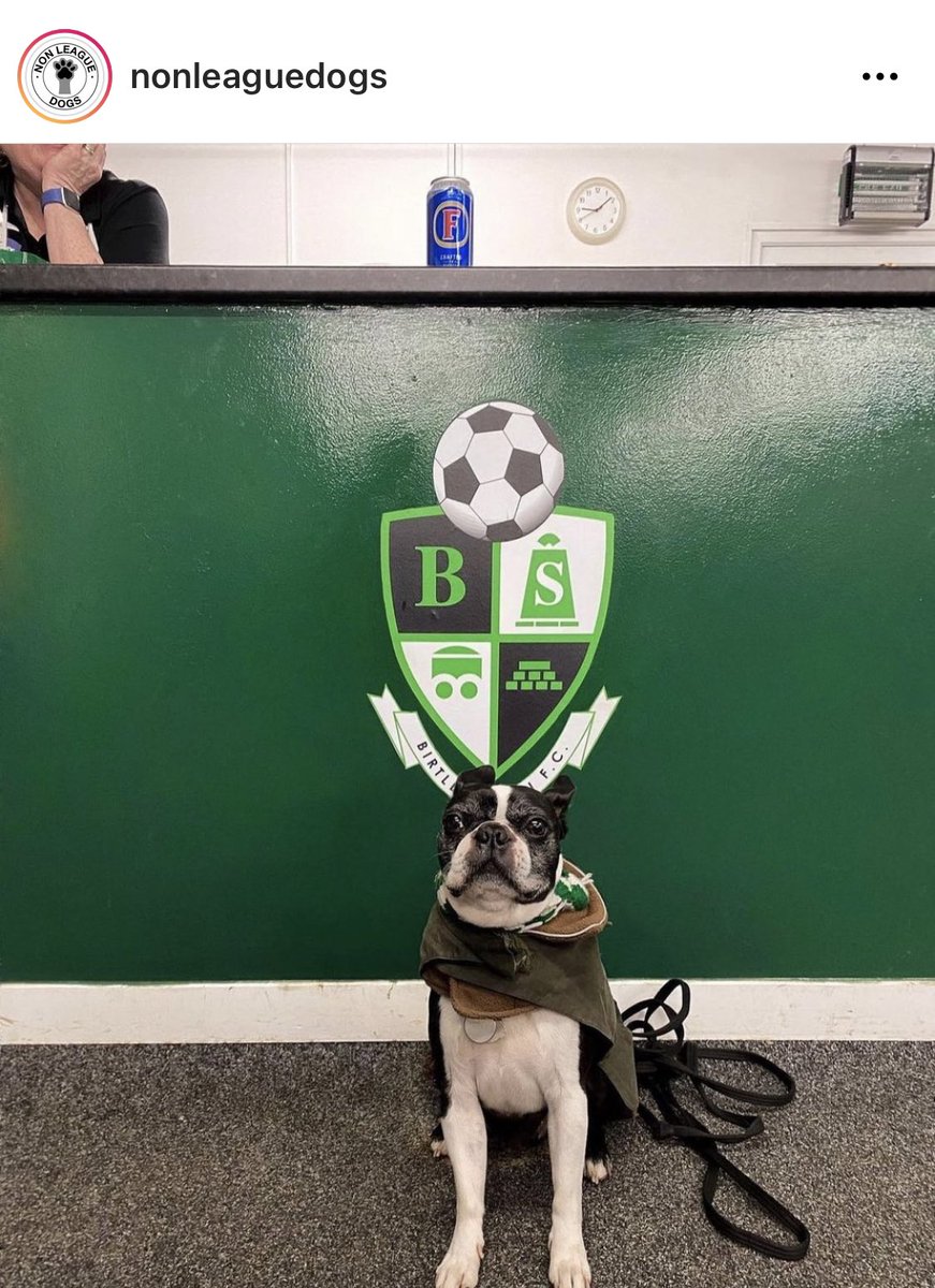 BirtleyTFC's tweet image. Wa famous! #UpTheHoops #Cuthbert