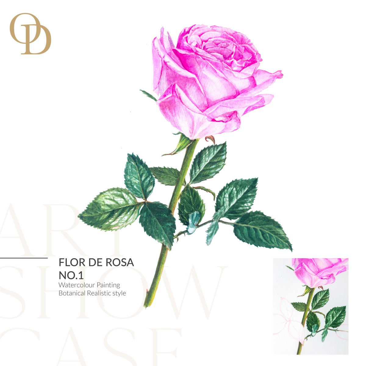 ODWD_Collection's tweet photo. FLOR DE ROSA NO.1 🌹✨
Frist relese on Opensea NFT https://t.co/HoCtpq980w
ฝากผลงานด้วยนะคะ :)

#OnedaywondererCollection #NFTTHAILAND #NFT #NFTdrop #NFTartist #NFTthai #NFTcollections #OpenSeaNFT #openseanftart #watercolorpainting https://t.co/QtACYI7pUg