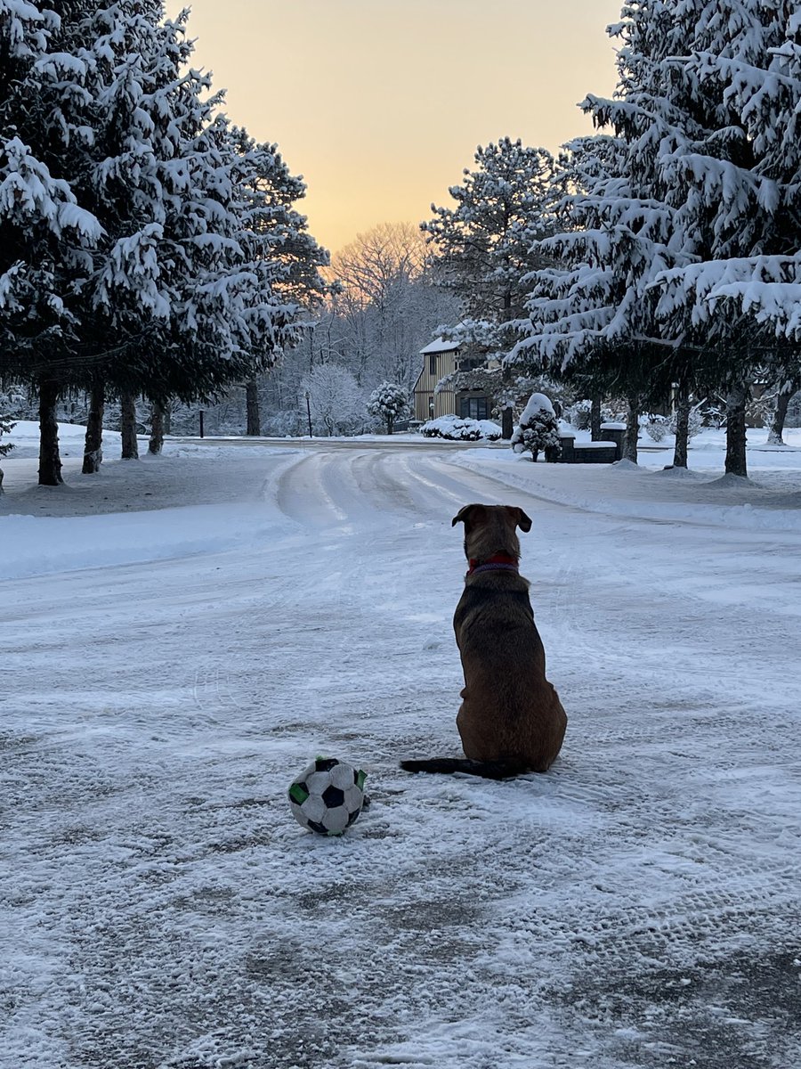 tmedward3's tweet photo. Waiting for my favorite ⚽️ player to come home for spring break from ⁦@NiagaraMSOC⁩ ⁦@NiagaraUniv⁩ https://t.co/tRUlFAxAJg