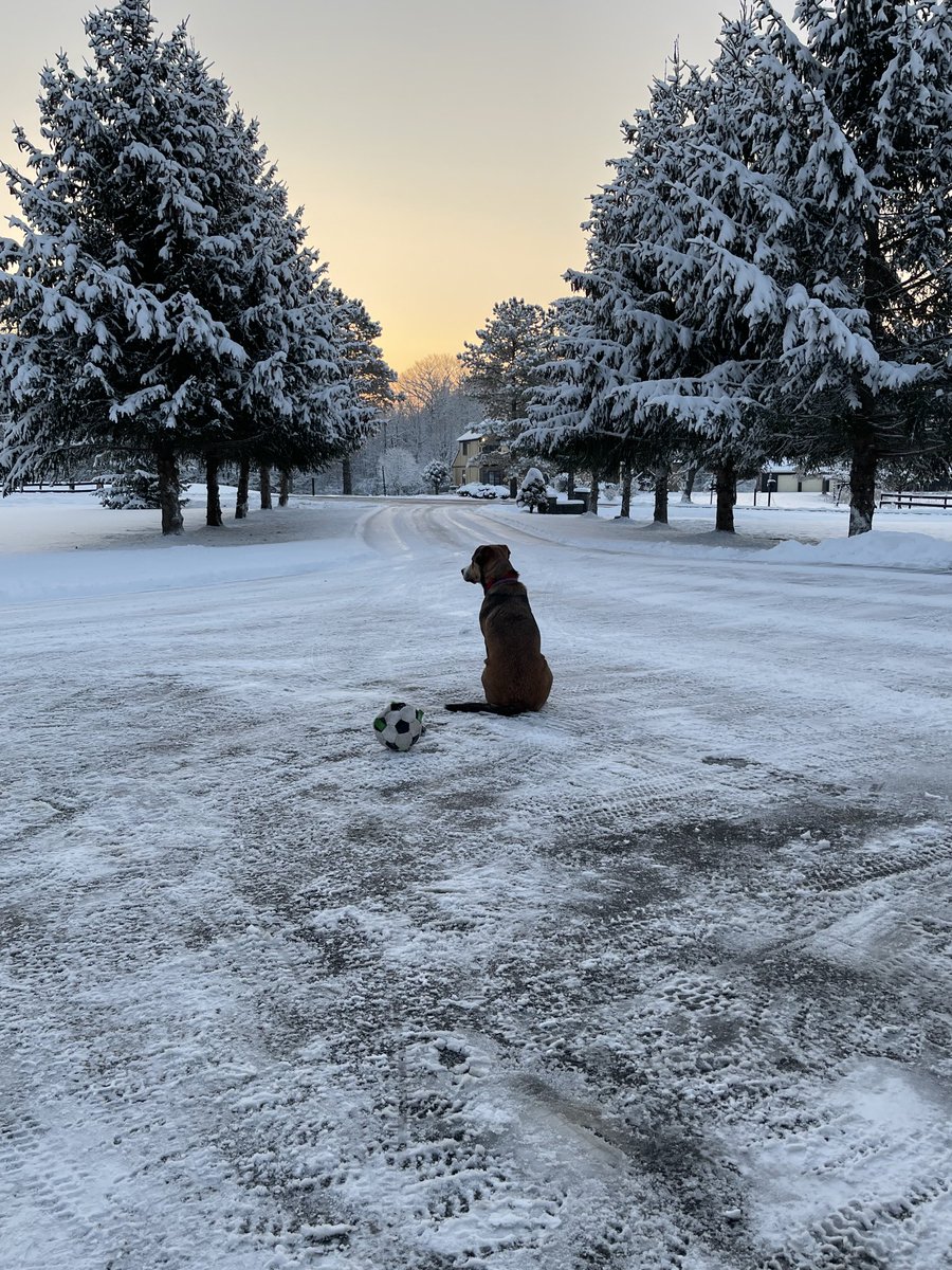 tmedward3's tweet photo. Waiting for my favorite ⚽️ player to come home for spring break from ⁦@NiagaraMSOC⁩ ⁦@NiagaraUniv⁩ https://t.co/tRUlFAxAJg