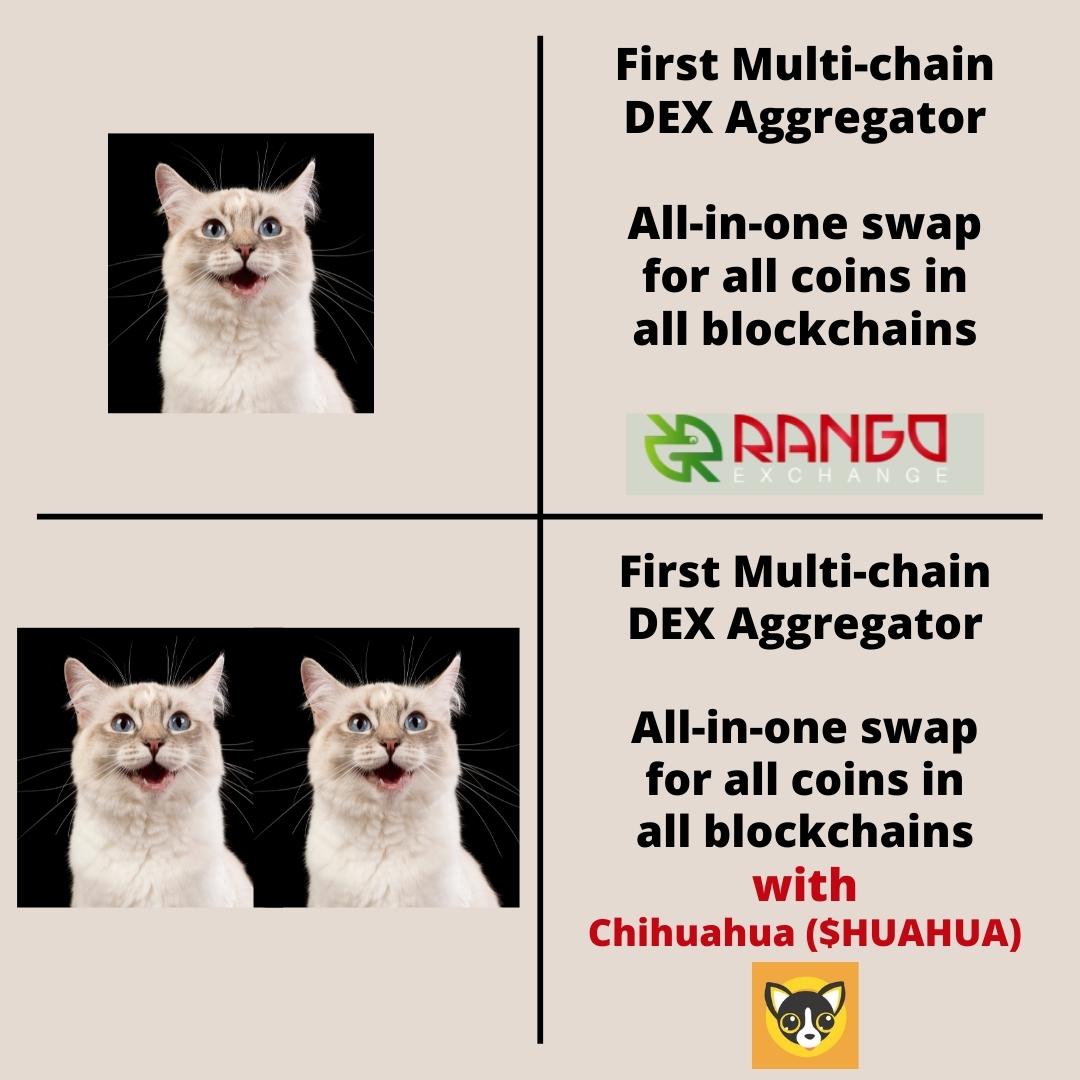 CanBeBlank's tweet photo. @ChihuahuaChain @RangoExchange https://t.co/l6RZ7Q4CvU