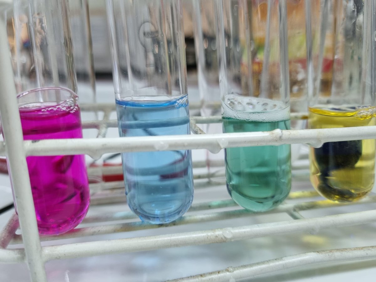 Politècnica UdL tweet media