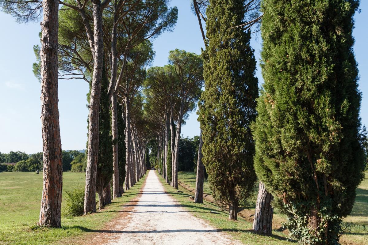 feelflorenceoff's tweet photo. Parco del Mensola, the newest city park, stretches between the hill of #Settignano and the Coverciano technical centre. Twenty hectares of nature, but you can also find historic villas, small churches, pedestrian and cycle paths. #greenflorence
@comunefi https://t.co/TLE4rmI1eL