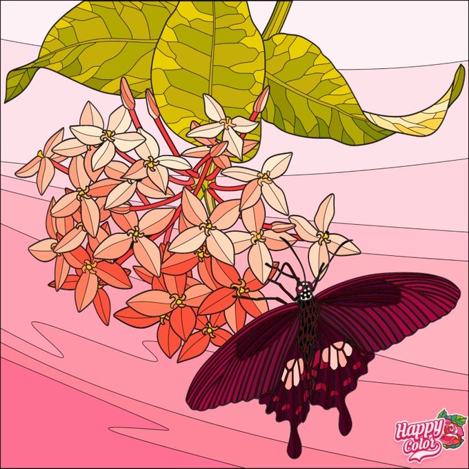 花と蝶のtwitterイラスト検索結果