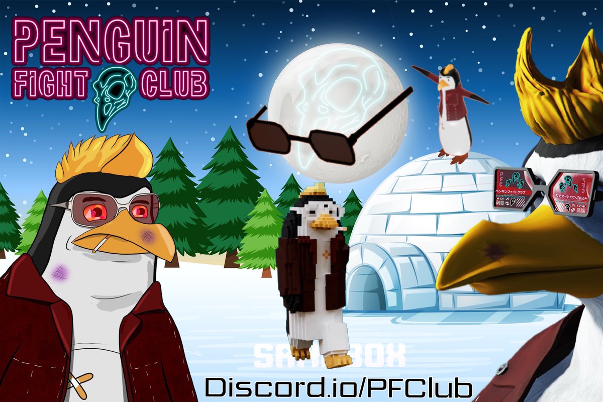 Penguin Fight Club 🐧 tweet media