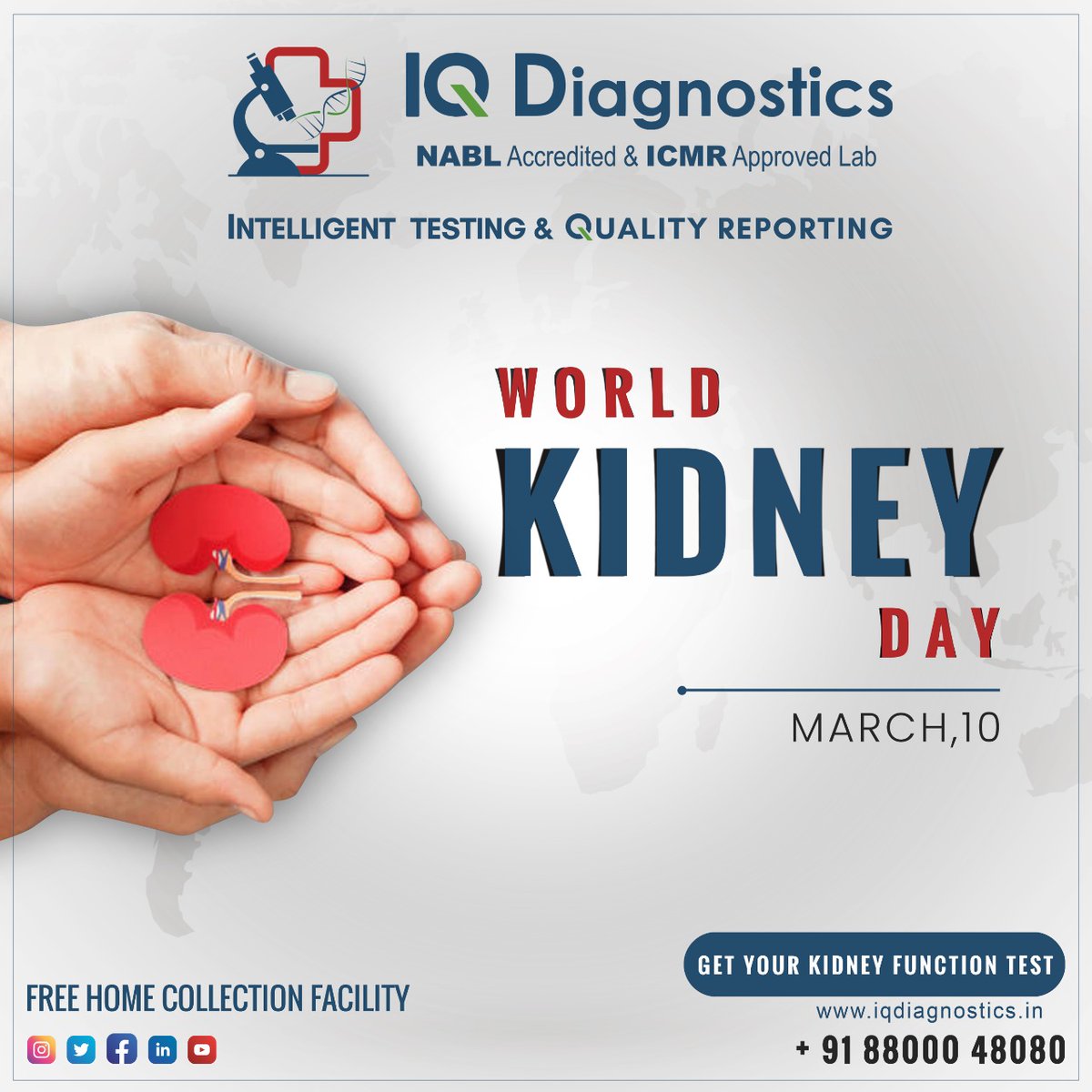 World Kidney Day. Kidney Health Is For All... To get your Kidney checked with a simple test call - 088000 48080 #kidneyday #worldkidneyday #Pathology #Diagnostics #iqdiagnostics #Healthcheckups #diagnosticlabs #pathlabs #diagnosticservices #testingservices #kidneytest #kft