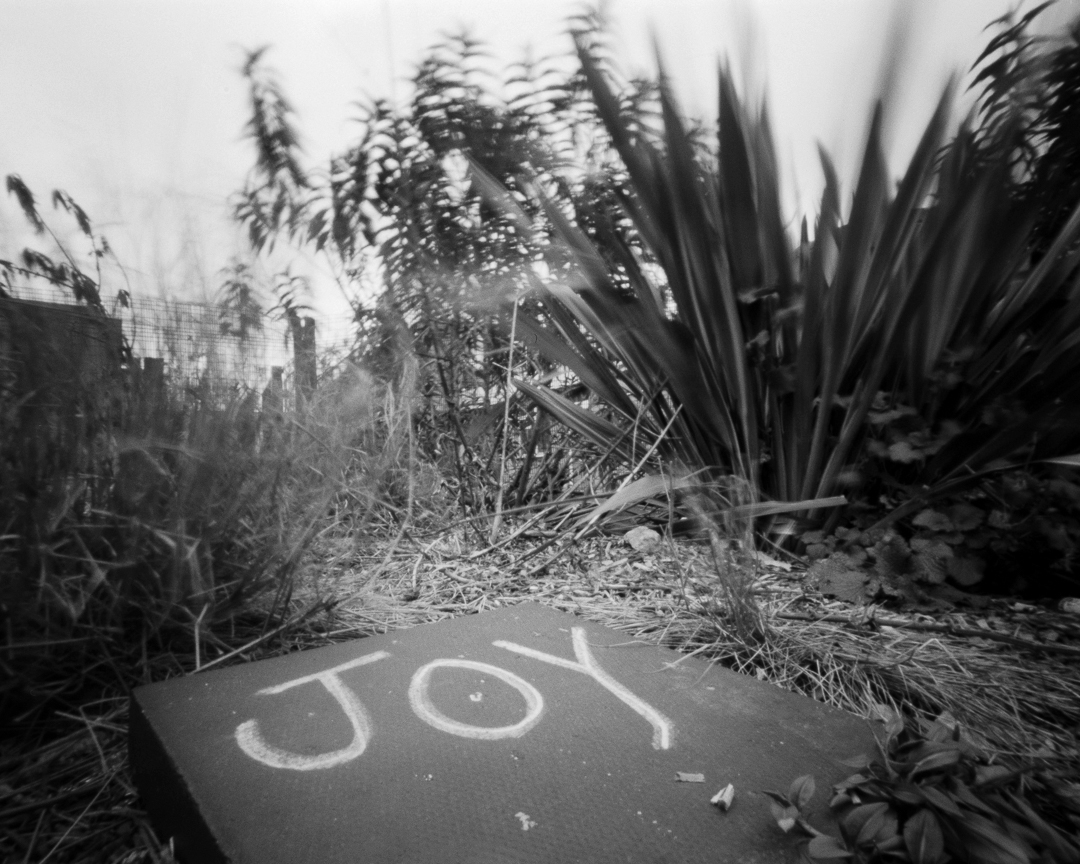 paulasmithphoto's tweet photo. Joy
@ONDUpinhole Rise 4x5. 30 second exposure on Fomapan 400 developed Rodinal 1+50 11mins.
#ondupinholecamera #4x5photography #fomapan400 #rodinaldeveloper #pinhole #filmphotography #largeformatphotography #believeinfilm https://t.co/VSKxVrPqkd